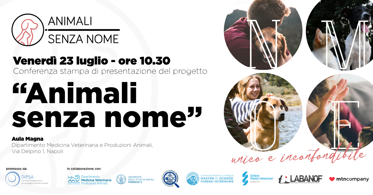 Animalisenzanome Presentazione