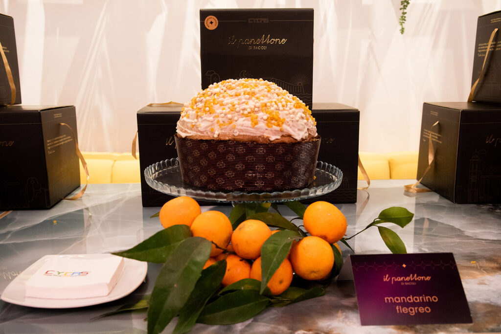 Panettone Mandarino Flegreo Cycas