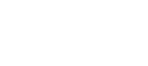 Logo Mtn White