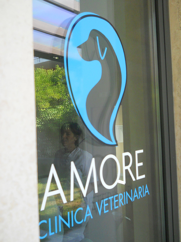 amore