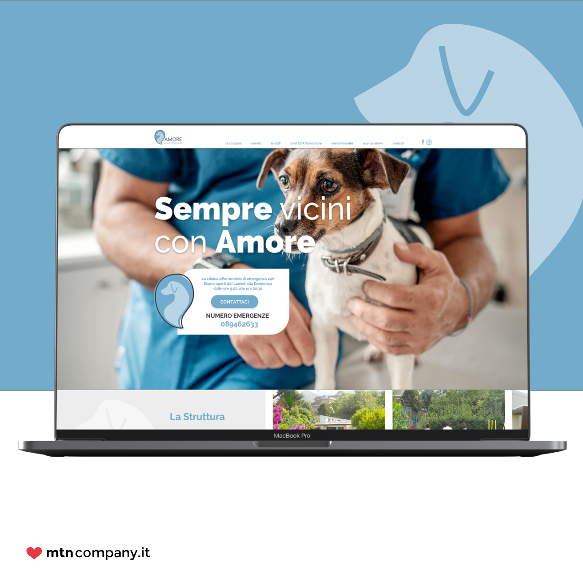 Clinica Veterinaria Amore