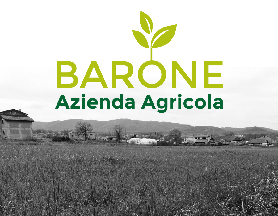 barone