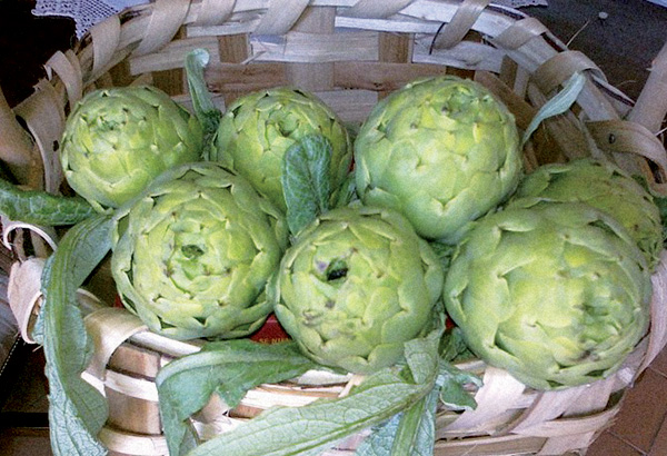 carciofo_pertosa