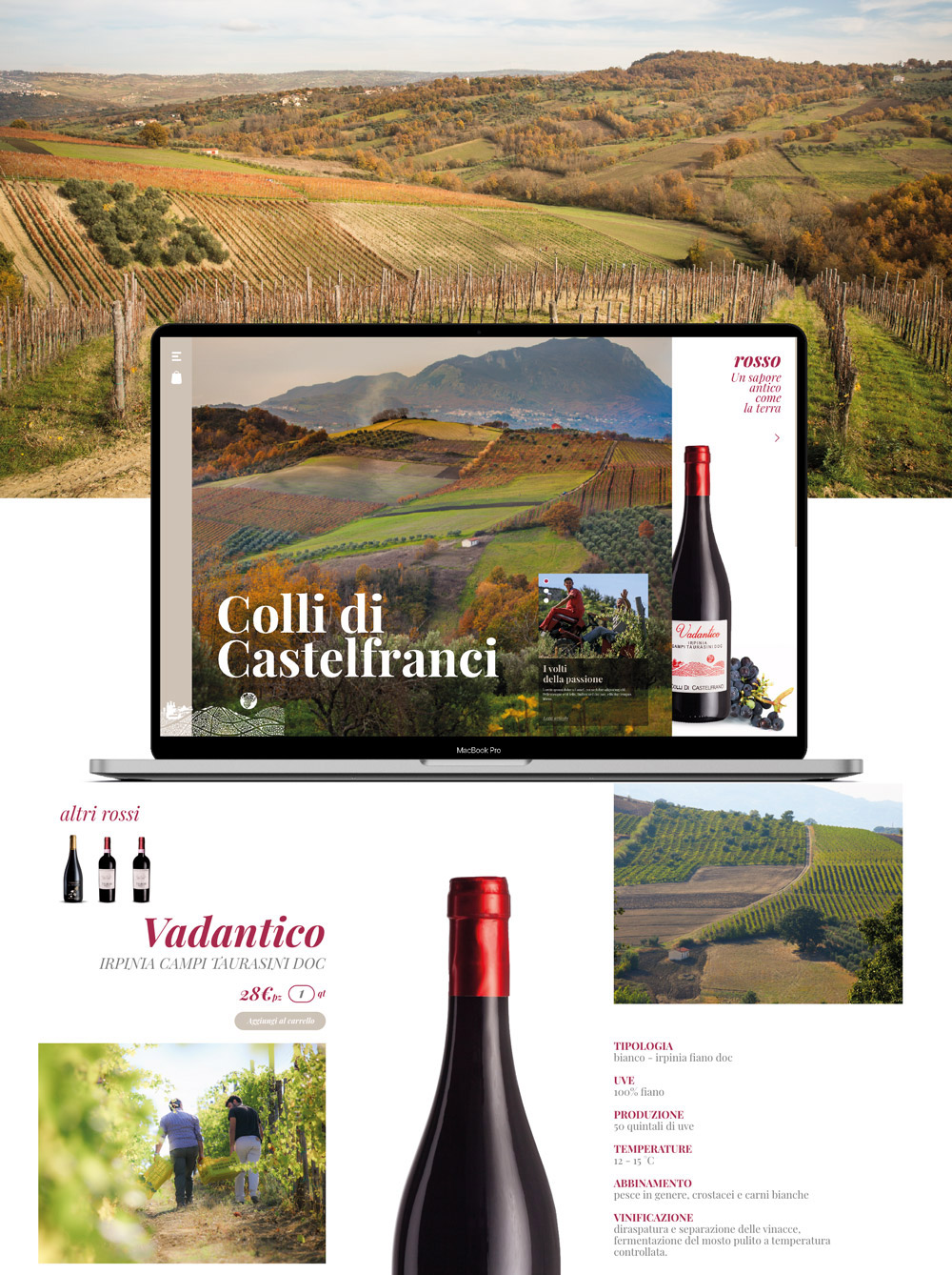 collidicastelfranci