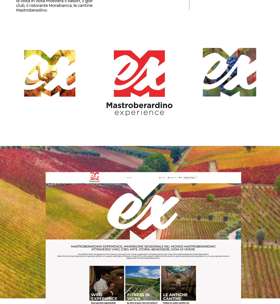 Mastroberardino Experience
